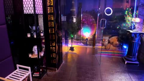 Snapshot of alma_pearl chatting on February 28, 8:37 am Alma online show from February 28, 8:37 am