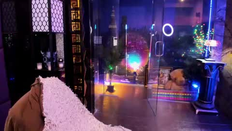 Alma online show from April 18, 10:30 am