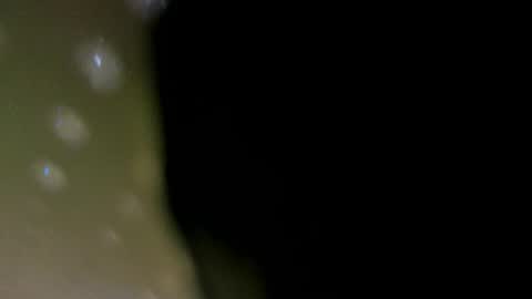 Snapshot of alotta_titties chatting on February 5, 8:41 am alotta_titties online show from February 5, 8:41 am