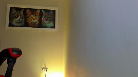 Snapshot of alpha_dominus_ chatting on November 9, 4:55 am alpha_dominus_ online show from November 9, 4:55 am