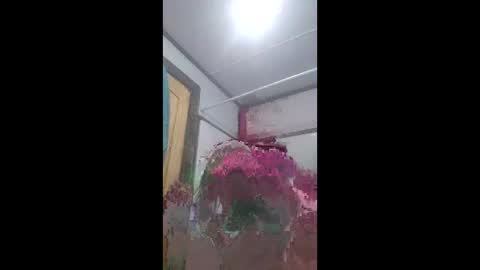 already0101 online show from June 8, 10:48 am