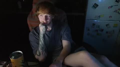 Snapshot of alvin__main chatting on July 8, 8:57 pm Alvin Puska -- online show from July 8, 8:57 pm