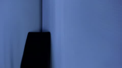 Emily online show from January 17, 7:05 pm