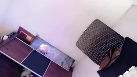 Amaya online show from October 8, 2:20 am