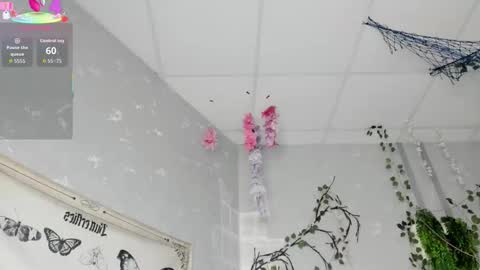 Snapshot of ameli_povilainn chatting on February 14, 3:03 am Ameli online show from February 14, 3:03 am