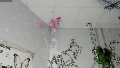 Snapshot of ameli_povilainn chatting on February 18, 2:29 am Ameli online show from February 18, 2:29 am