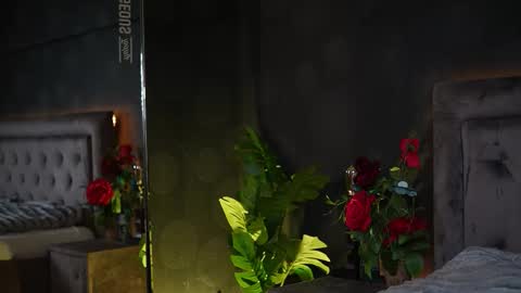  Amelia  online show from November 20, 6:13 am