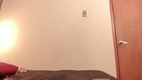 Snapshot of ammytorrez_ chatting on September 11, 11:32 am ammytorrez_ online show from September 11, 11:32 am