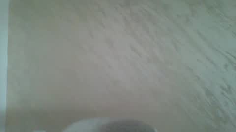 Snapshot of amongus322565 chatting on May 4, 7:48 am VelvetVibe online show from May 4, 7:48 am