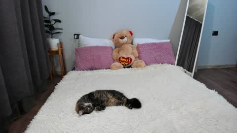 amymilson online show from December 20, 3:21 pm