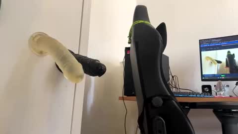 Snapshot of analass_ chatting on September 20, 11:00 am analass_ online show from September 20, 11:00 am