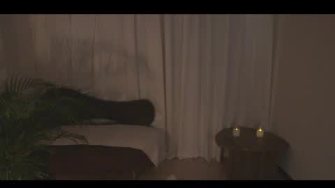 Ann online show from April 10, 7:18 pm