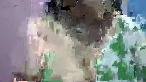 Snapshot of anamika794088 chatting on January 12, 12:55 pm anamika794088 online show from January 12, 12:55 pm