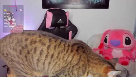 Andrea online show from March 8, 7:01 am