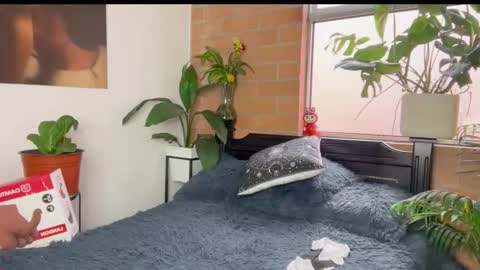 Andy online show from March 11, 12:22 pm