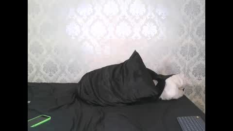 Angel Lein online show from February 11, 7:59 pm