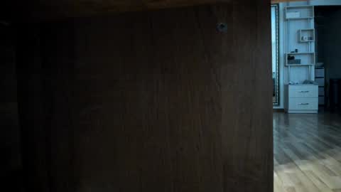 Snapshot of angelicarai chatting on December 29, 9:17 am Angelica Rai online show from December 29, 9:17 am