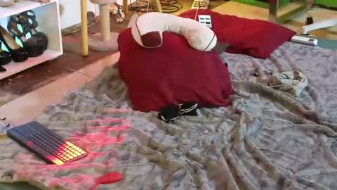 Snapshot of angelinasia chatting on March 12, 4:51 am Angel online show from March 12, 4:51 am