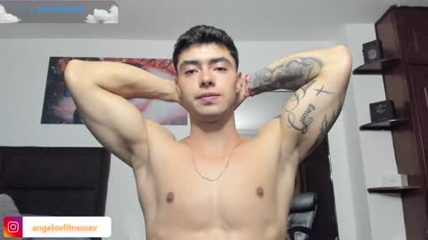 Snapshot of angelovfitnessxv chatting on December 14, 12:11 am angelov online show from December 14, 12:11 am