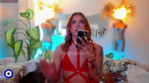 Snapshot of angelpeach_ chatting on December 1, 12:54 pm Angel online show from December 1, 12:54 pm