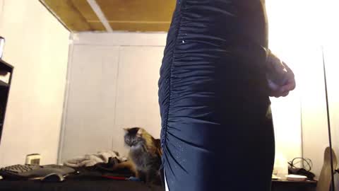 Ani online show from March 10, 10:26 am