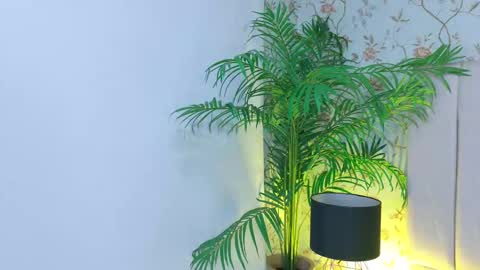 Snapshot of anita_sagegb chatting on March 19, 12:42 pm Dania Lpez online show from March 19, 12:42 pm