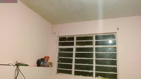 Snapshot of anniesparkle chatting on November 13, 12:20 am Annie Sparkle online show from November 13, 12:20 am