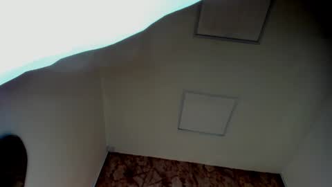 ANTON online show from March 23, 11:36 am