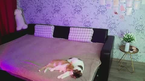 Annie online show from December 16, 4:23 am