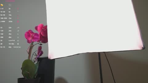 Ana online show from September 13, 11:32 am