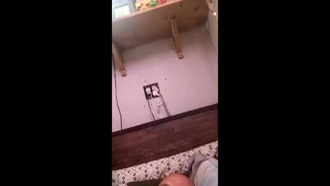 anthony9168 online show from March 25, 11:22 pm