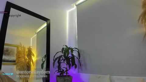 Antonella14Dominic online show from December 15, 6:45 pm