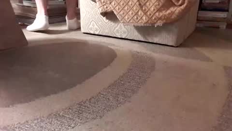 Snapshot of antonino85 chatting on January 18, 2:36 am antonino85 online show from January 18, 2:36 am