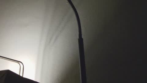 Daddy online show from January 9, 7:44 am