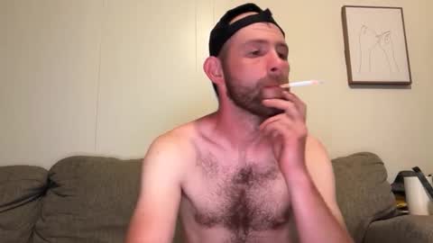 archibears online show from June 7, 4:49 am
