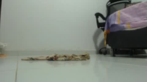 ...Ariana... online show from January 29, 6:18 pm