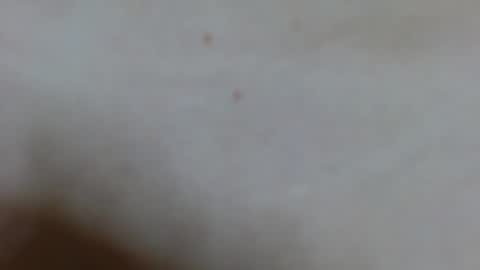 Ariana lvarez online show from February 2, 4:15 am