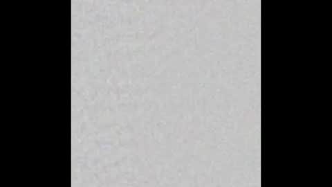 Arianna Collins online show from October 22, 12:05 pm