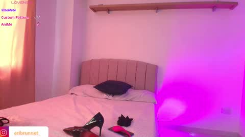 Snapshot of aribrunnet_ chatting on October 17, 4:20 pm Ari Just Ari online show from October 17, 4:20 pm