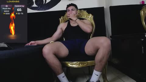 Snapshot of ariies13 chatting on December 3, 11:52 am Ariies13 online show from December 3, 11:52 am