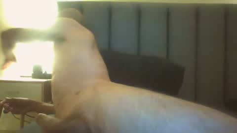 Snapshot of arnoldmir chatting on July 12, 8:22 pm Arnoldmir online show from July 12, 8:22 pm