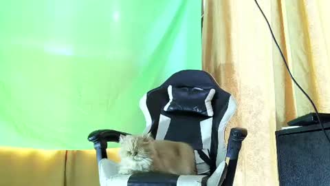 aronmiller online show from July 21, 2:08 pm