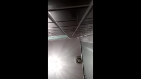 art2414 online show from April 6, 8:37 am