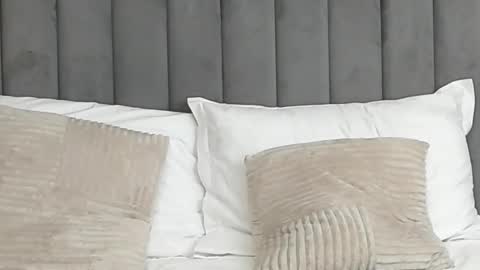 AryaTessa online show from February 25, 8:36 am