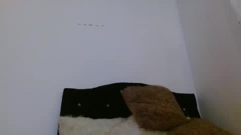 ASHLEY online show from April 5, 2:25 pm