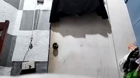 asiancreamy4u online show from January 5, 2:19 pm