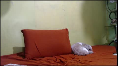 Mhay online show from September 26, 5:55 am