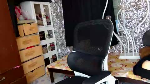 Trish online show from December 3, 11:08 am