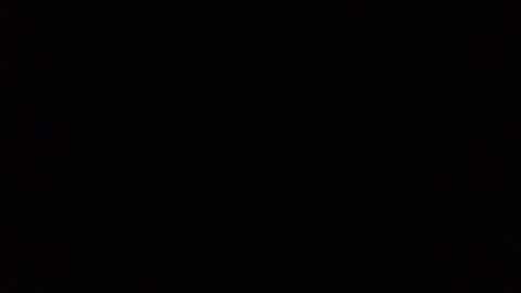 assfdanchen online show from September 24, 11:08 pm