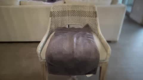 Snapshot of assfucklovee chatting on December 16, 2:49 pm assfucklovee online show from December 16, 2:49 pm